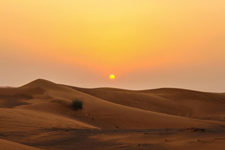 Best desert safari tours in dubai